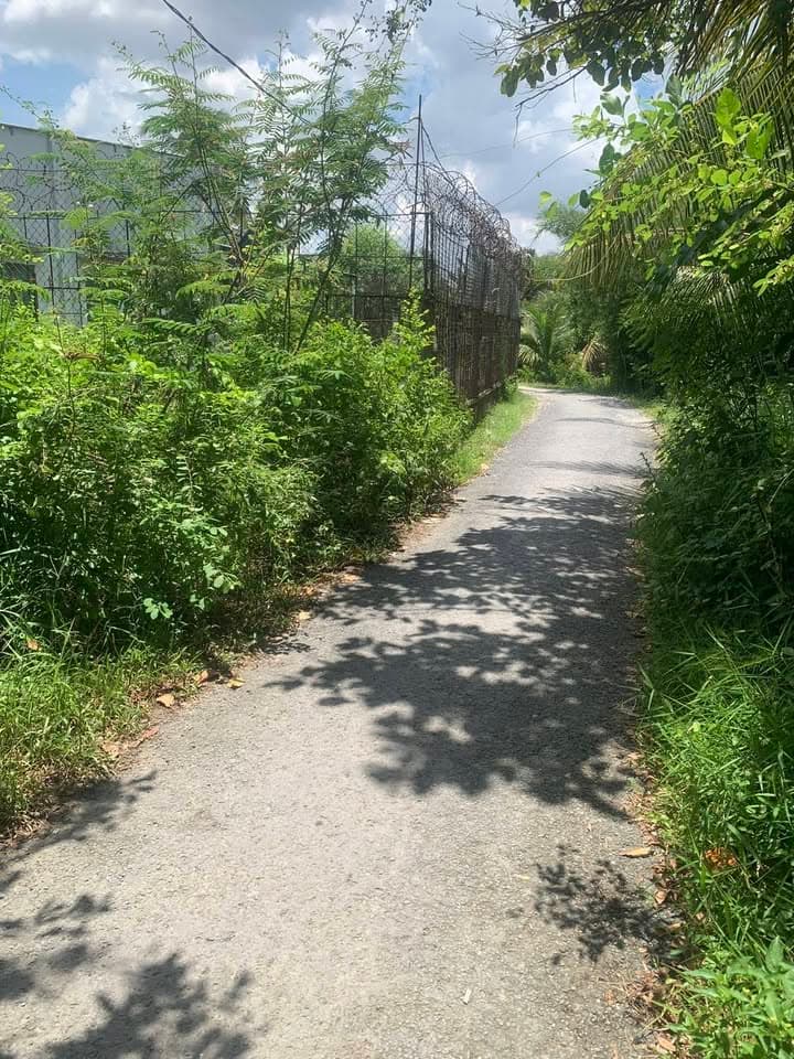 Bán đất X. Phước Hậu, H. Long Hồ, T. Vĩnh Long