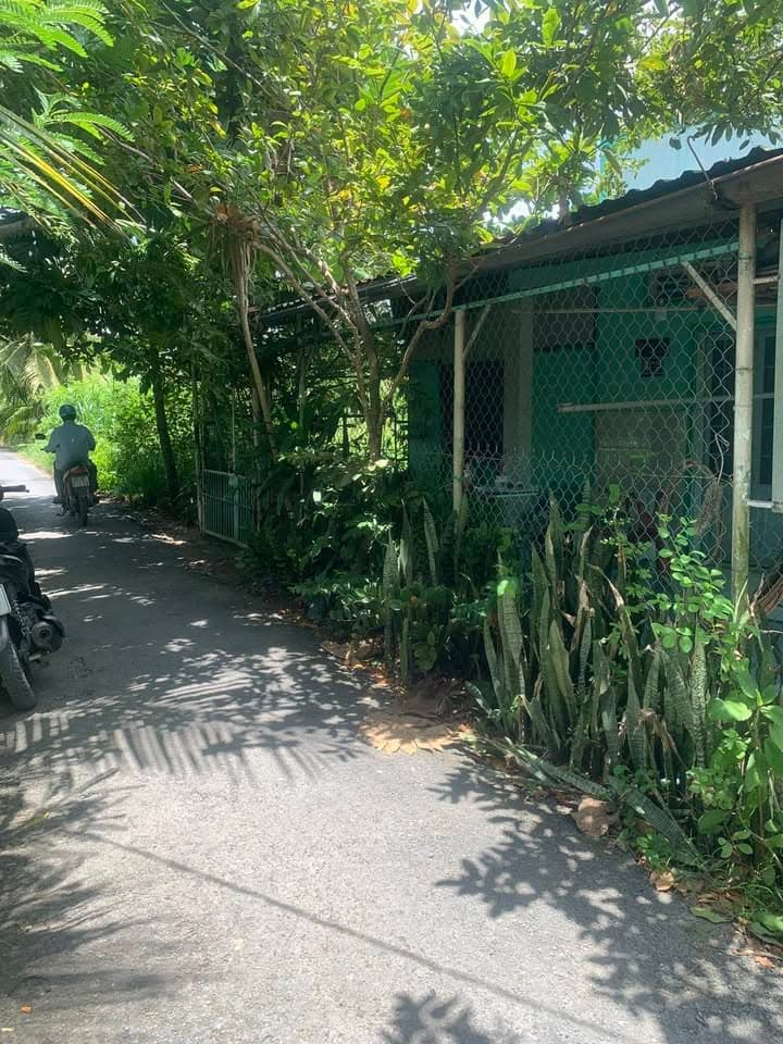 Bán đất X. Phước Hậu, H. Long Hồ, T. Vĩnh Long - Ảnh 2