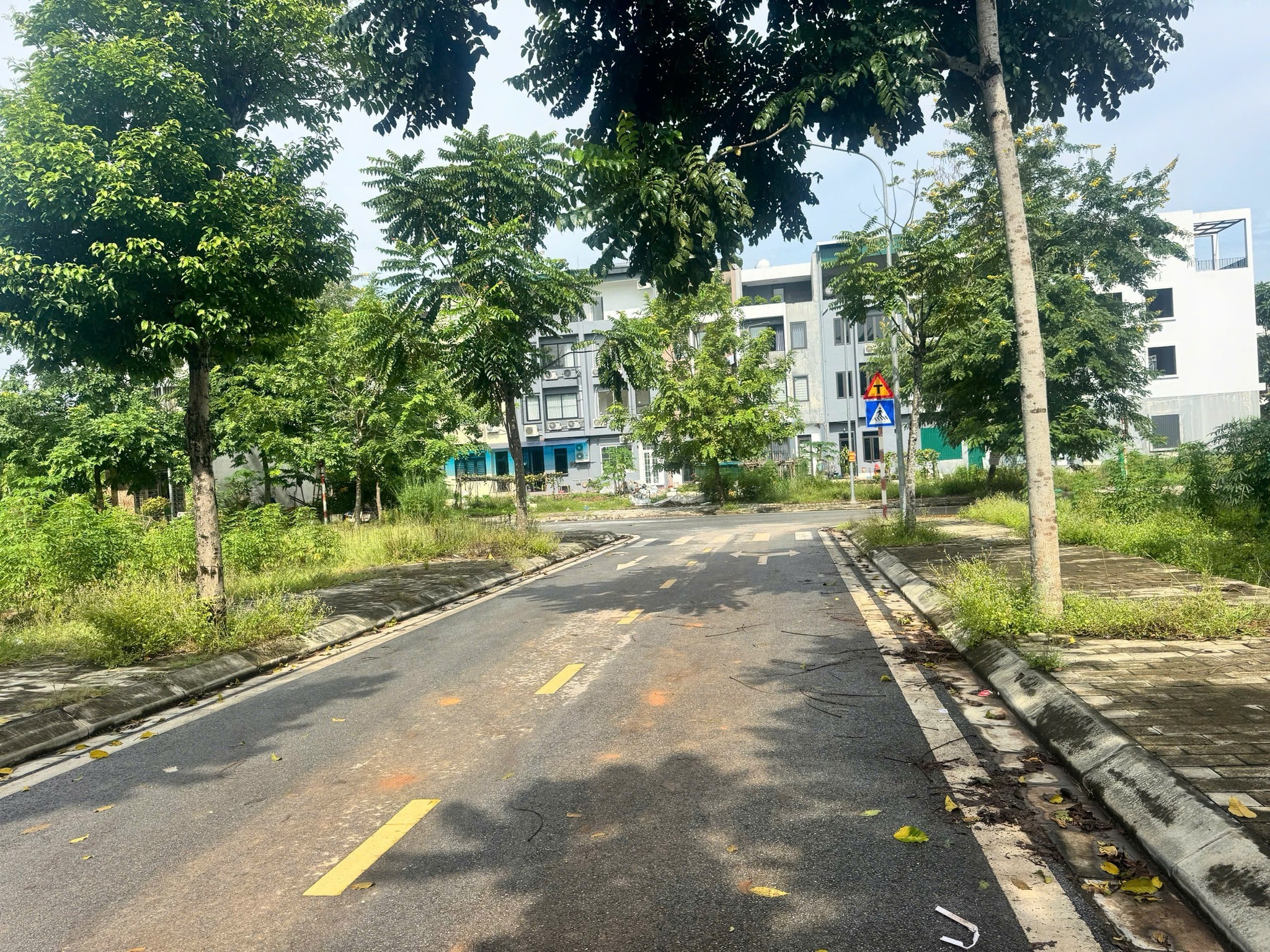 Bán đất Đ. Lạc Long Quân, P. Tân Dân, Tp. Việt Trì, T. Phú Thọ - Ảnh 2