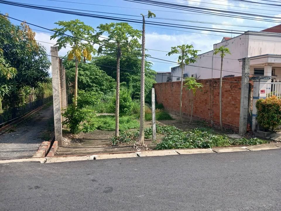 Bán đất Tt. Gò Dầu, H. Gò Dầu, T. Tây Ninh - Ảnh 3