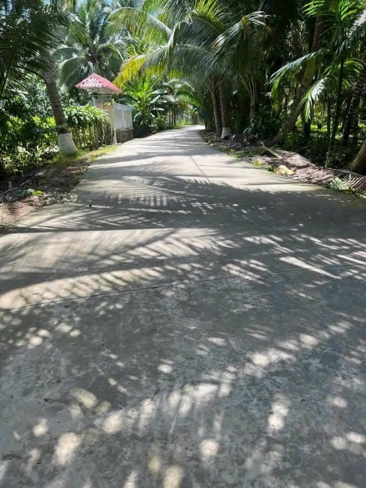 Bán đất X. Sơn Đông, Tp. Bến Tre, T. Bến Tre