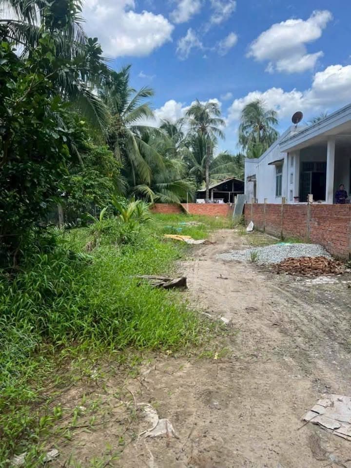 Bán đất X. Sơn Đông, Tp. Bến Tre, T. Bến Tre - Ảnh 3