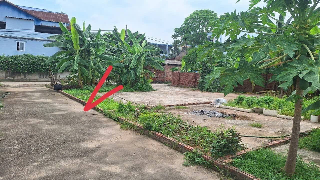 Bán đất Đ. Thắng Trí, X. Minh Trí, H. Sóc Sơn, Tp. Hà Nội - Ảnh 2