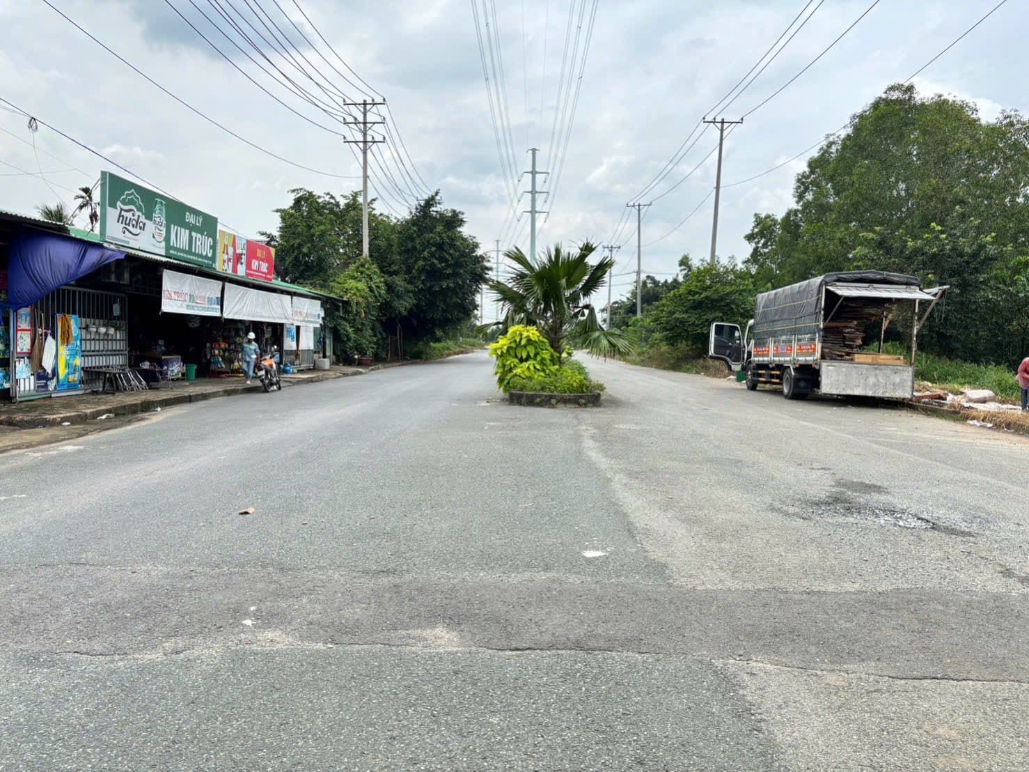 Bán đất Đ. Phúc Long 6, H. Bến Lức, T. Long An - Ảnh 2