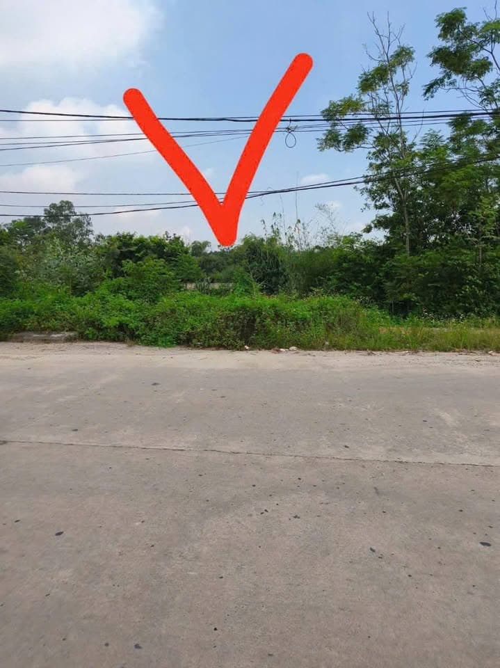 Bán đất Đ. 310, X. Đạo Tú, H. Tam Dương, T. Vĩnh Phúc - Ảnh 2