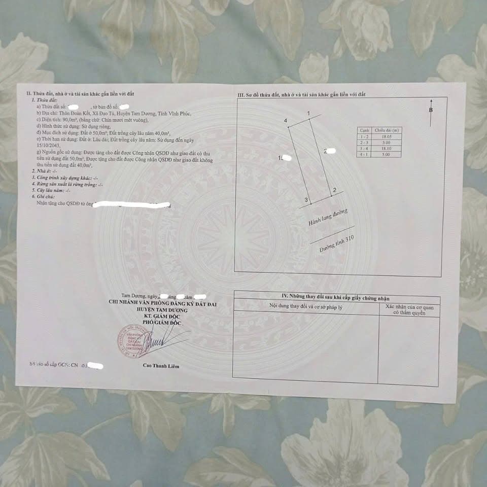 Bán đất Đ. 310, X. Đạo Tú, H. Tam Dương, T. Vĩnh Phúc - Ảnh 3