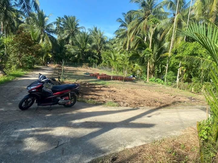 Bán đất Tp. Vĩnh Long, T. Vĩnh Long