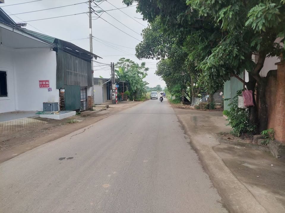 Bán đất H. Yên Mỹ, T. Hưng Yên - Ảnh 2