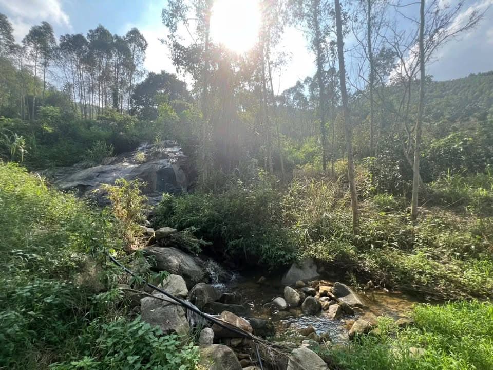 Bán đất H. Sơn Dương, T. Tuyên Quang