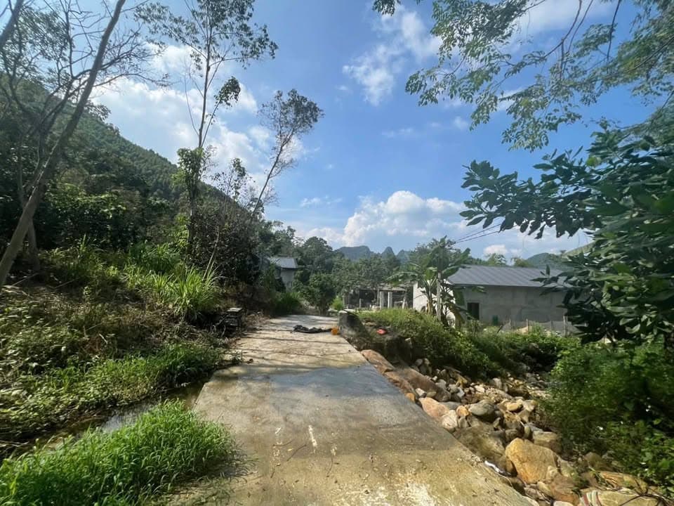 Bán đất H. Sơn Dương, T. Tuyên Quang - Ảnh 2