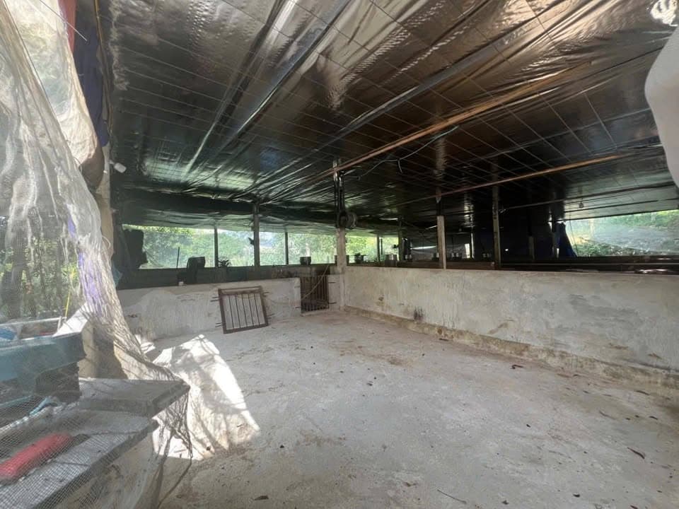 Bán đất H. Sơn Dương, T. Tuyên Quang - Ảnh 3