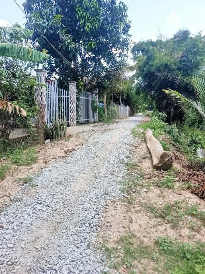 Bán đất X. Hòa Bình, H. Chợ Mới, T. An Giang - Ảnh 2