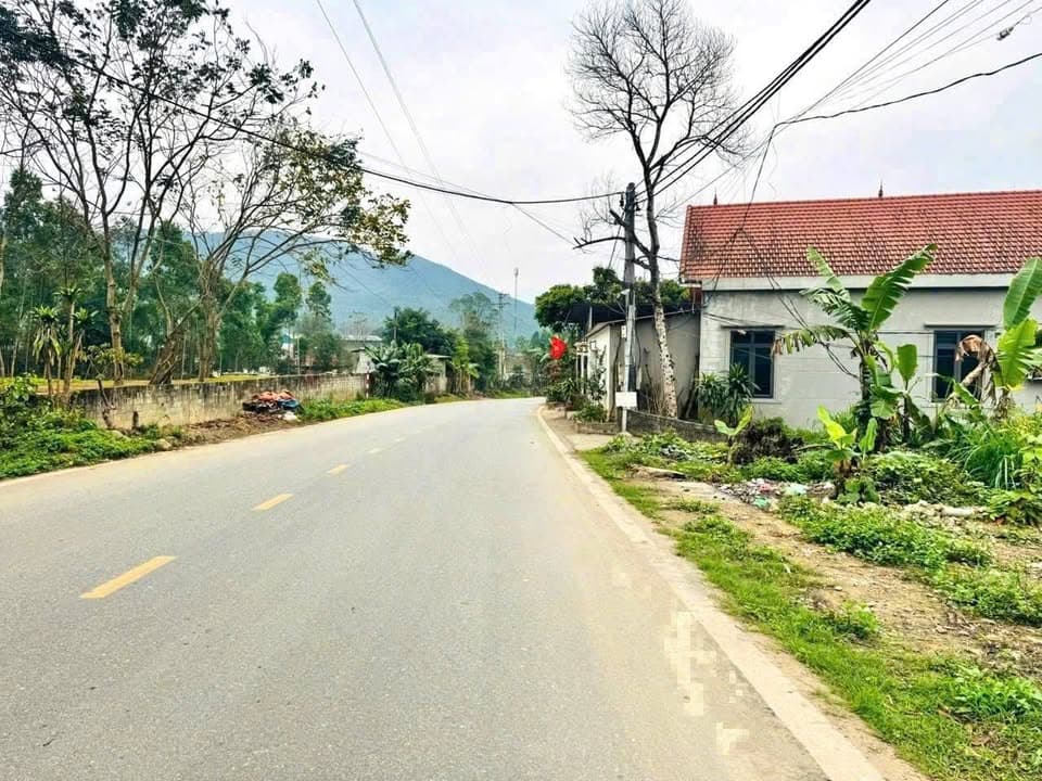 Bán đất H. Lập Thạch, T. Vĩnh Phúc - Ảnh 2