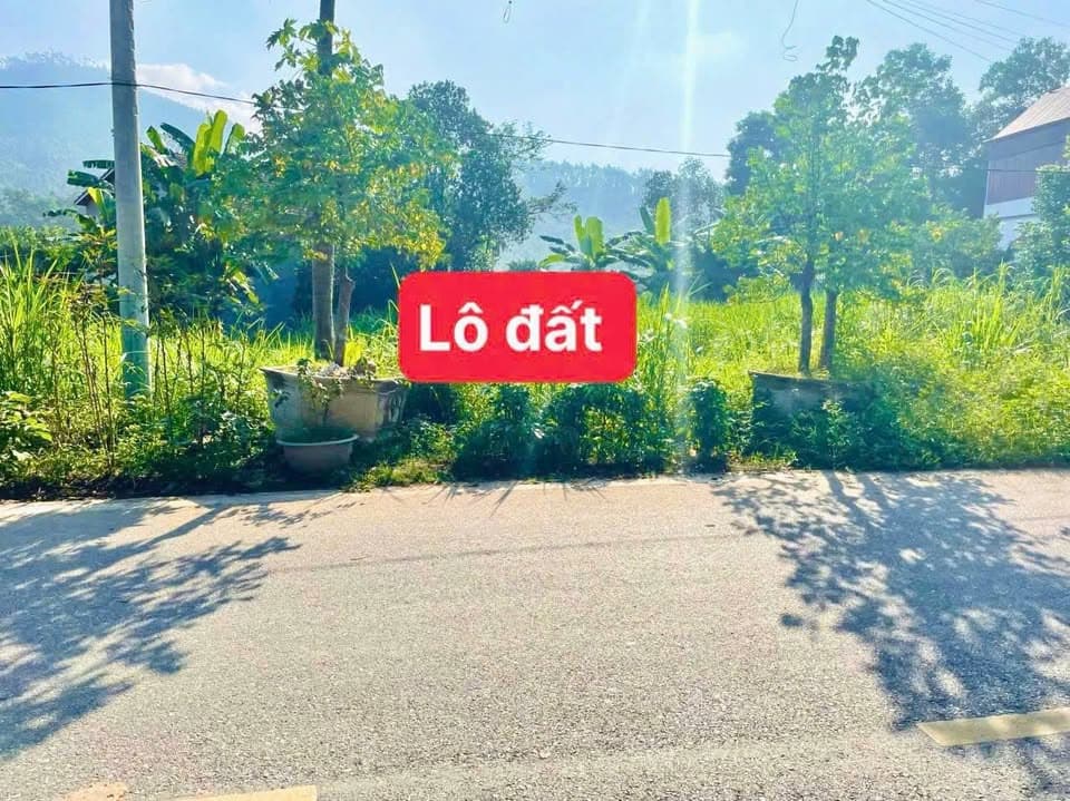 Bán đất H. Lập Thạch, T. Vĩnh Phúc - Ảnh 3