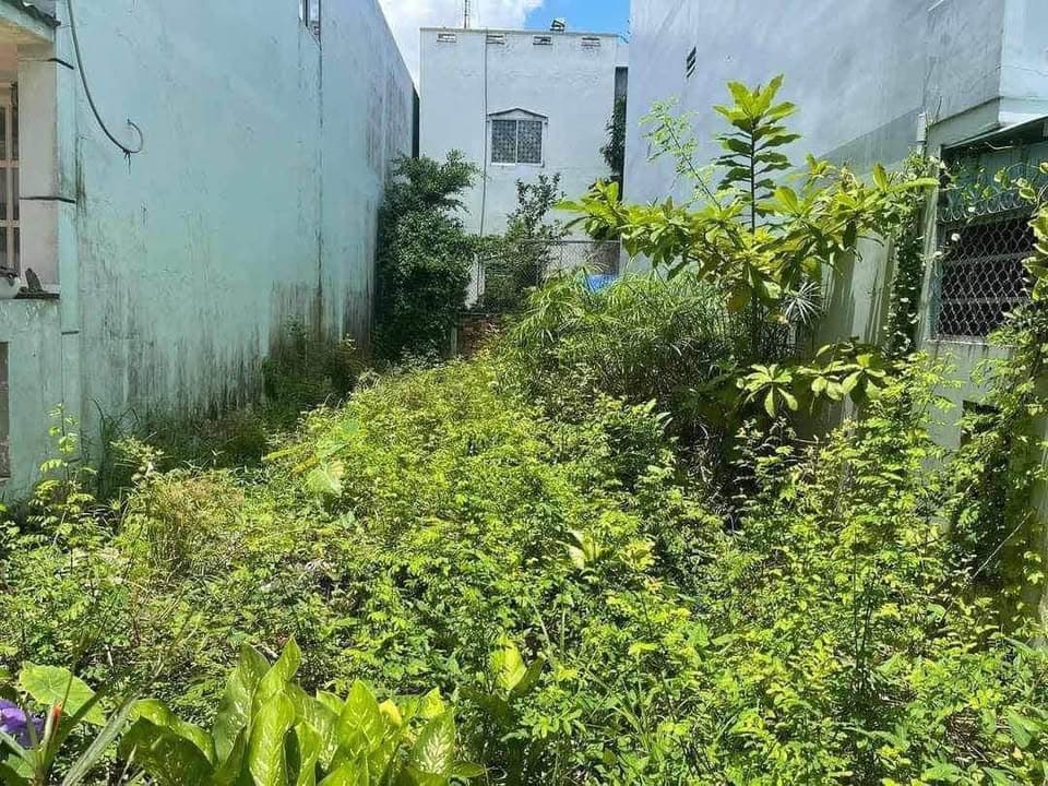 Bán đất P. Châu Phú B, Tp. Châu Đốc, T. An Giang - Ảnh 3