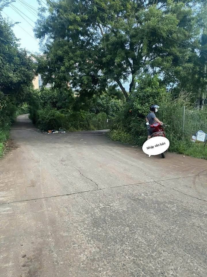 Bán đất Đ. Trần Quý Cáp, P. Tân Lợi, Tp. Buôn Ma Thuột, T. Đắk Lắk - Ảnh 2