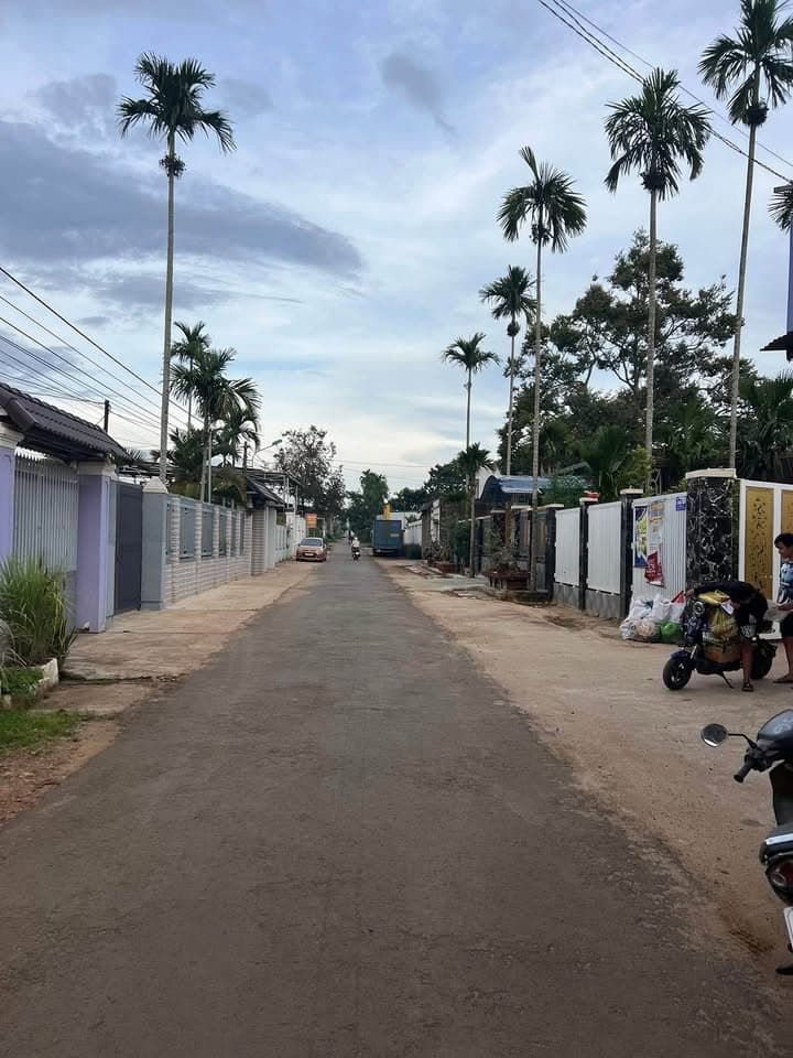 Bán đất P. Tân An, Tp. Buôn Ma Thuột, T. Đắk Lắk - Ảnh 3