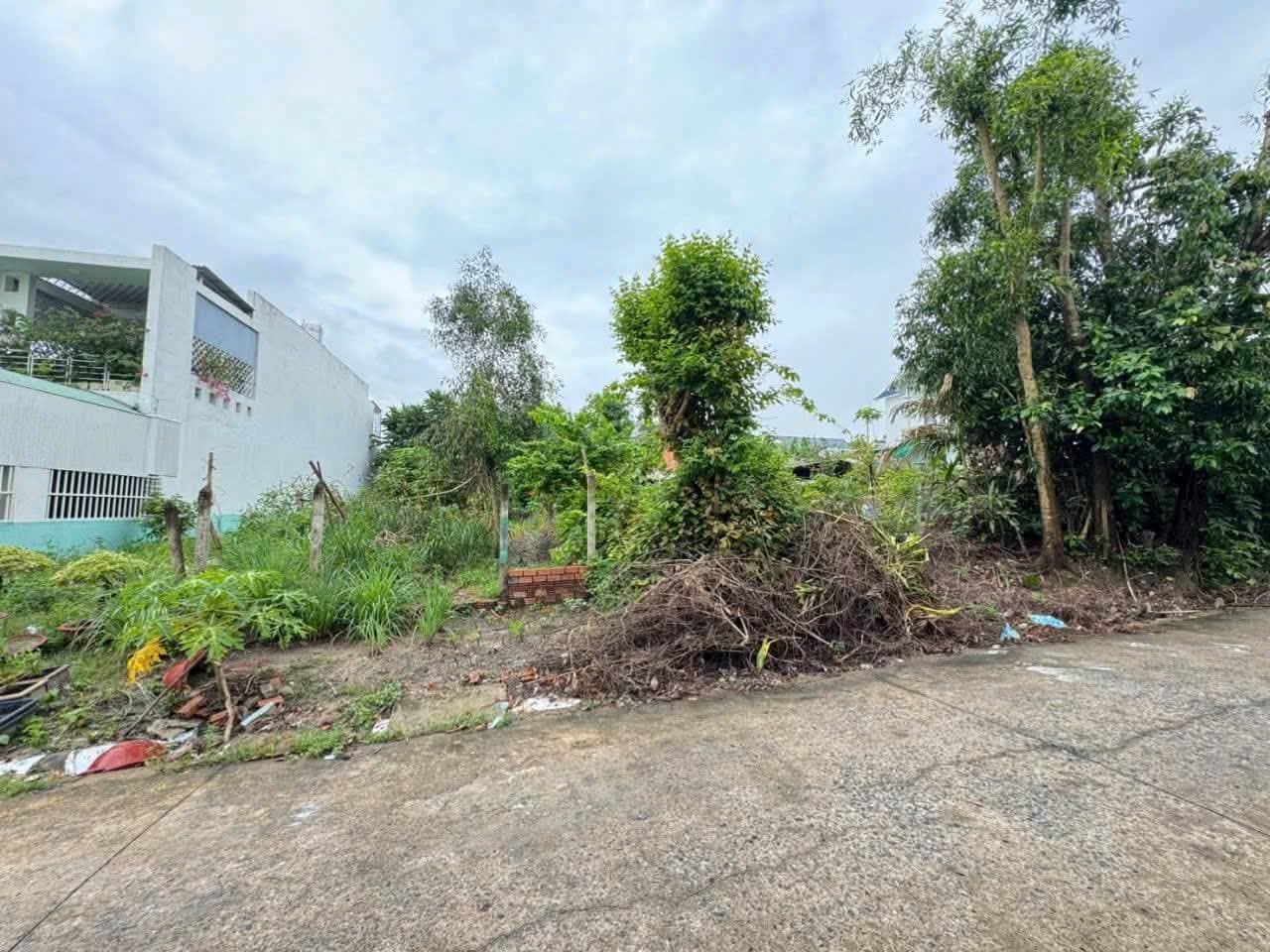 Bán đất Đ. Nguyễn Thị Minh Khai, P. Hoà Phú, Tp. Thủ Dầu Một, T. Bình Dương - Ảnh 2