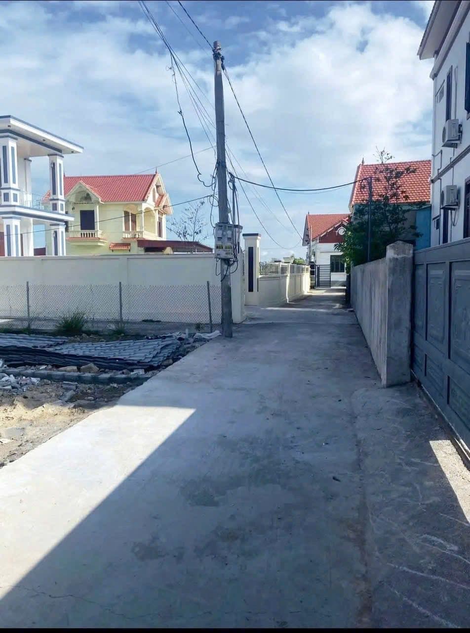 Bán đất H. An Lão, Tp. Hải Phòng - Ảnh 3