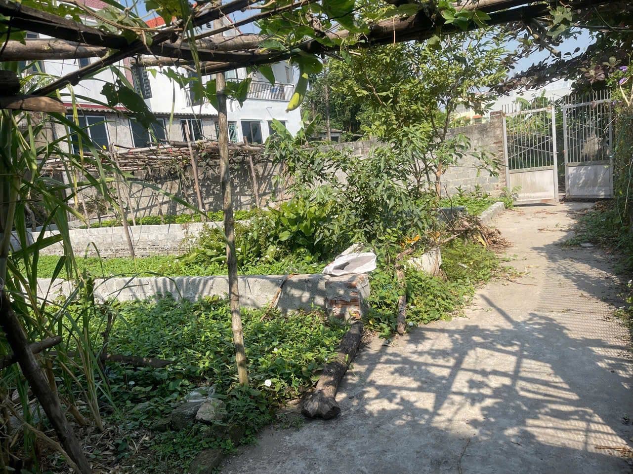 Bán đất H. Thường Tín, Tp. Hà Nội - Ảnh 3