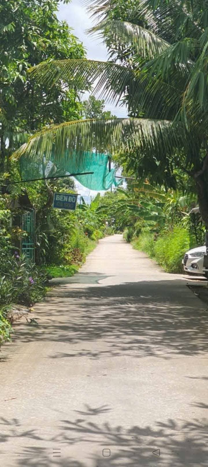 Bán đất X. Tân Long, H. Phụng Hiệp, T. Hậu Giang - Ảnh 2