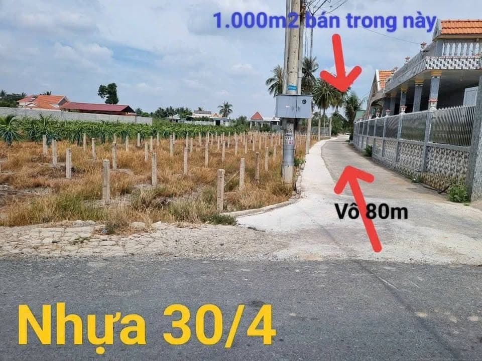 Bán đất X. Phước Tân Hưng, H. Châu Thành, T. Long An