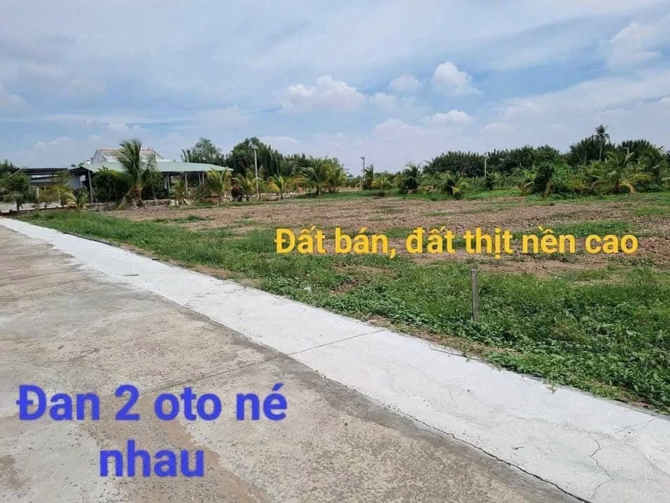 Bán đất X. Phước Tân Hưng, H. Châu Thành, T. Long An - Ảnh 2