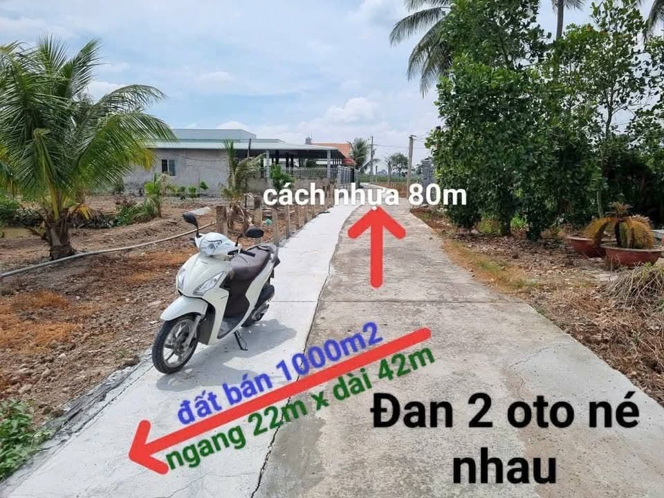 Bán đất X. Phước Tân Hưng, H. Châu Thành, T. Long An - Ảnh 3