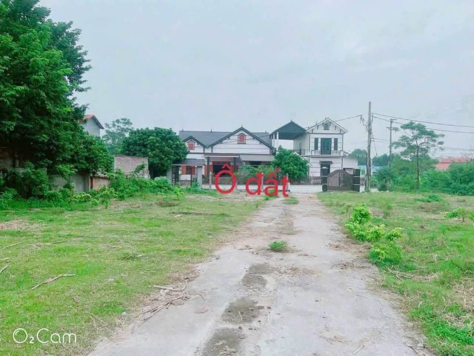 Bán đất Tt. Gia Khánh, H. Bình Xuyên, T. Vĩnh Phúc - Ảnh 3