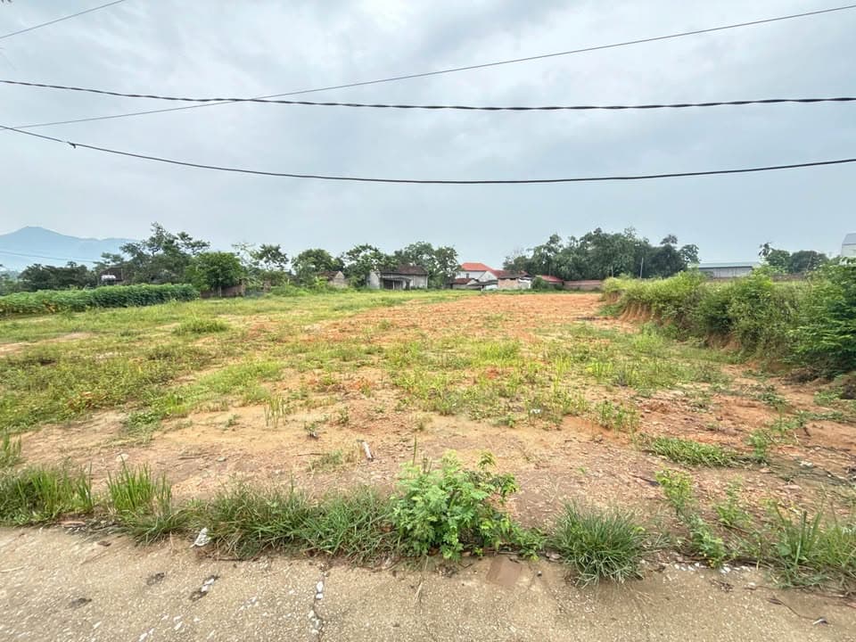 Bán đất H. Tam Dương, T. Vĩnh Phúc