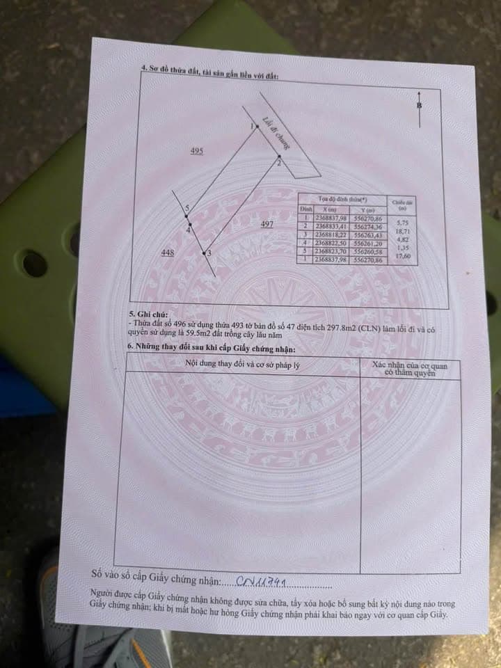 Bán đất H. Tam Dương, T. Vĩnh Phúc - Ảnh 2