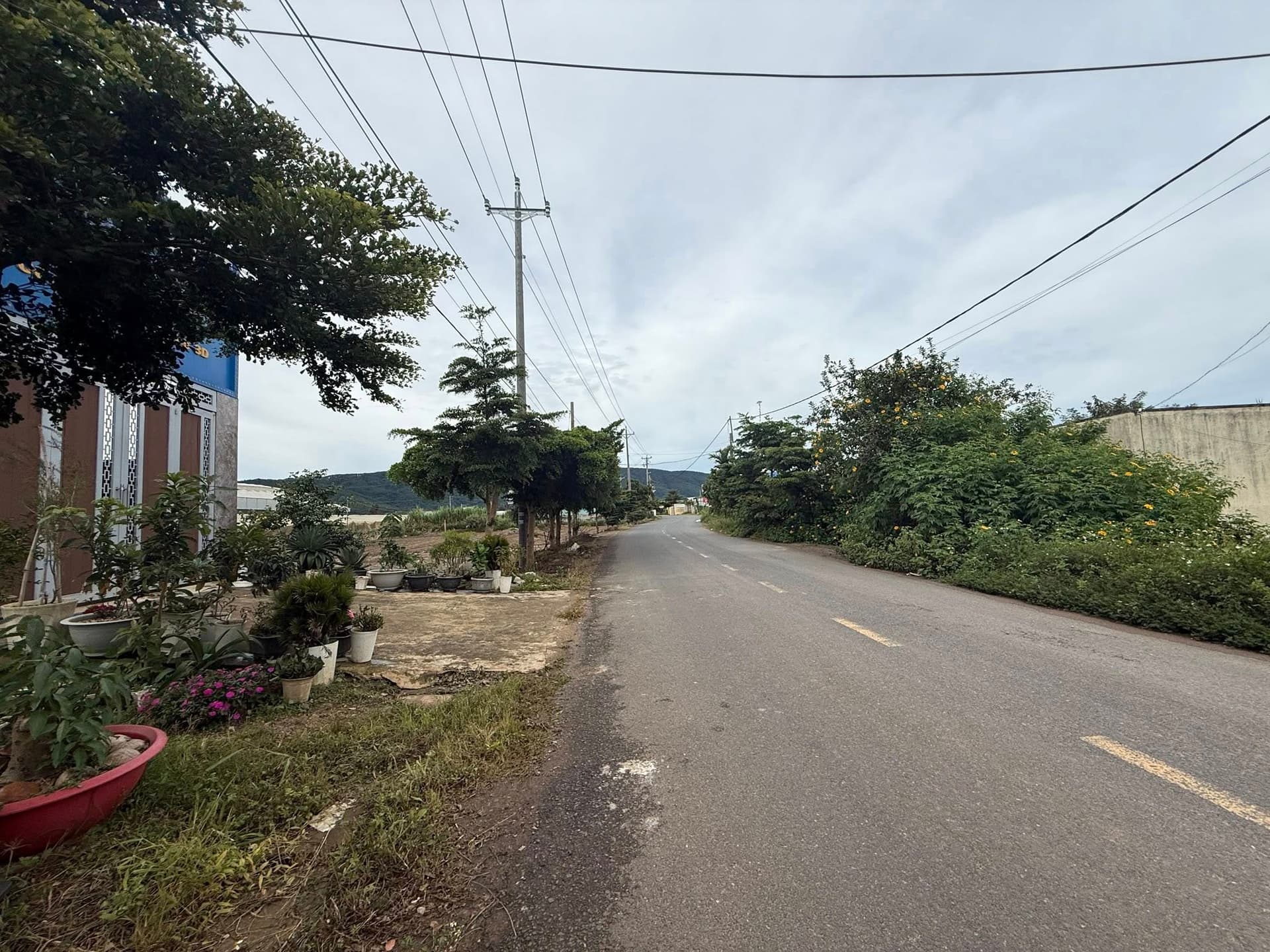 Bán đất Đ. Nguyễn Chí Thanh, Tt. Thạnh Mỹ, H. Đơn Dương, T. Lâm Đồng - Ảnh 2