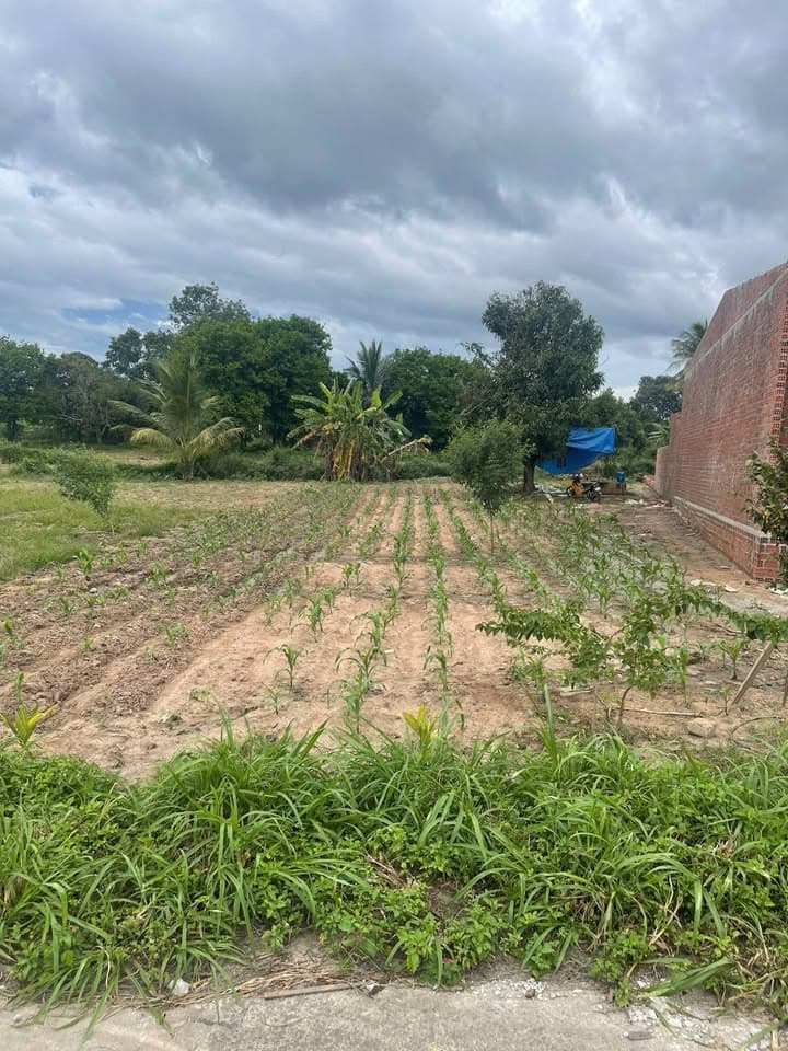 Bán đất P. Trần Quốc Hoàn, P. Trần Hưng Đạo, Tp. Kon Tum, T. Kon Tum