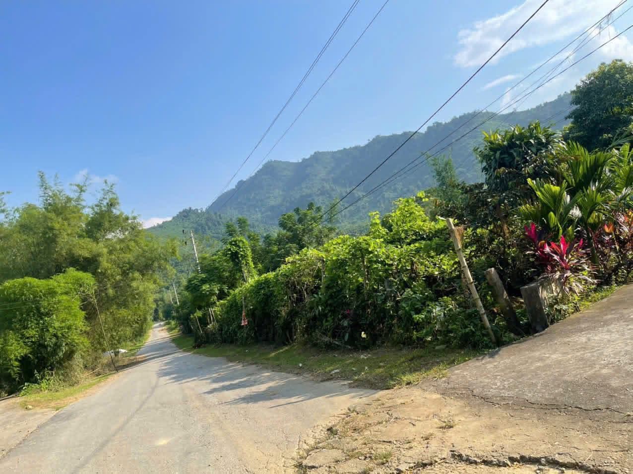 Bán đất X. Vô Tranh, H. Hạ Hoà, T. Phú Thọ