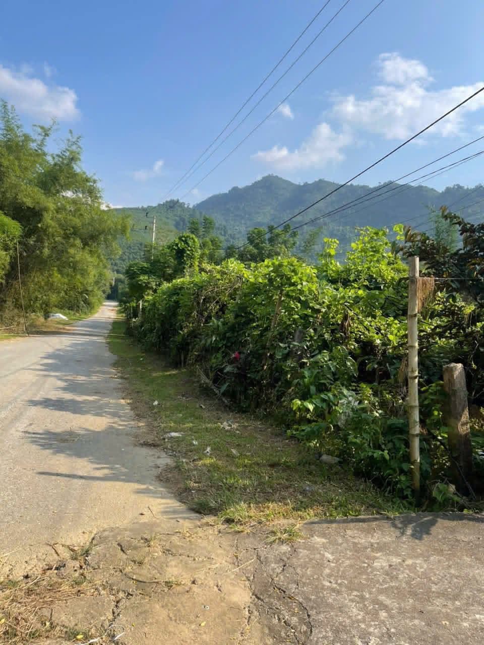 Bán đất X. Vô Tranh, H. Hạ Hoà, T. Phú Thọ - Ảnh 2