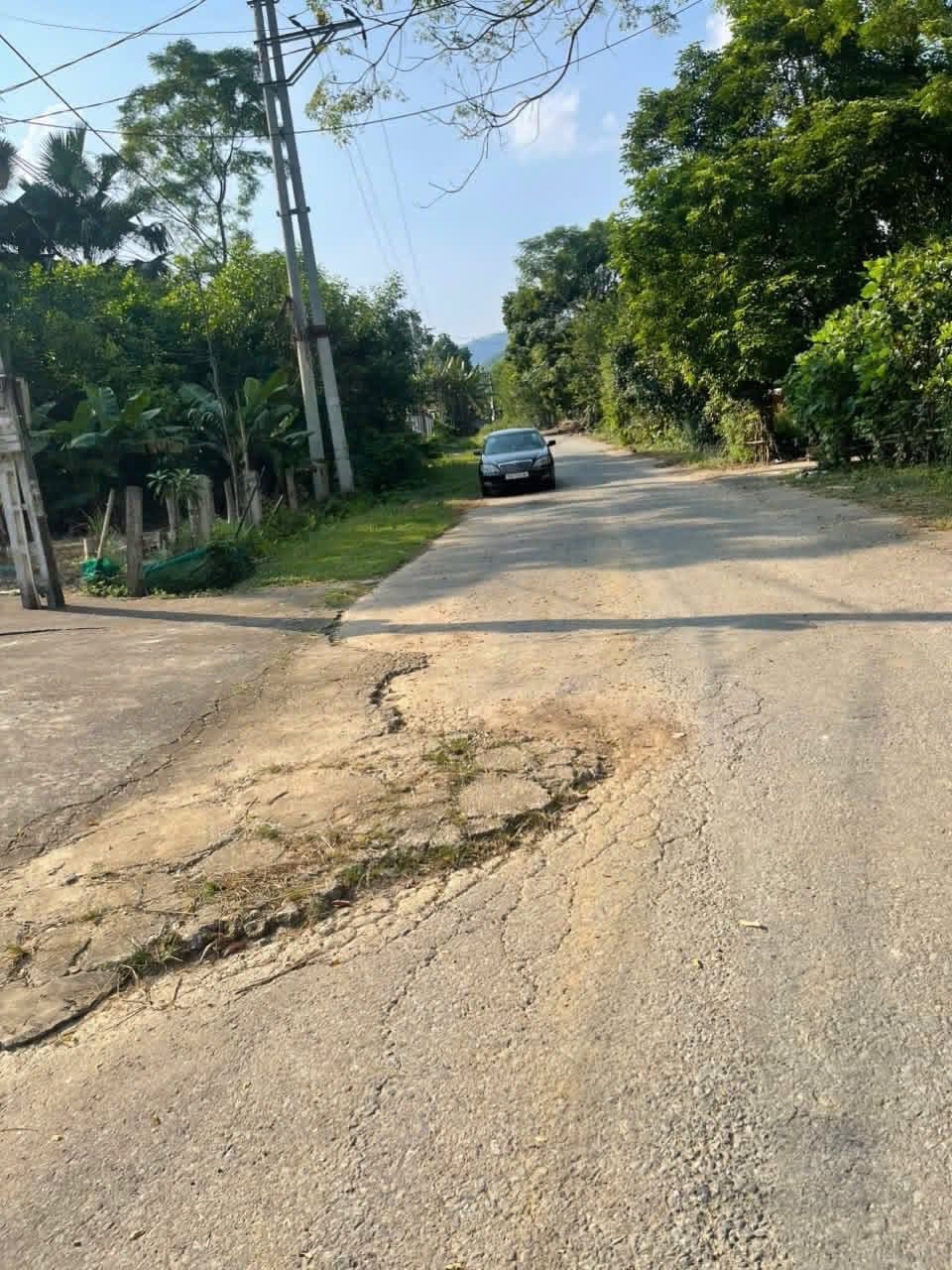 Bán đất X. Vô Tranh, H. Hạ Hoà, T. Phú Thọ - Ảnh 3