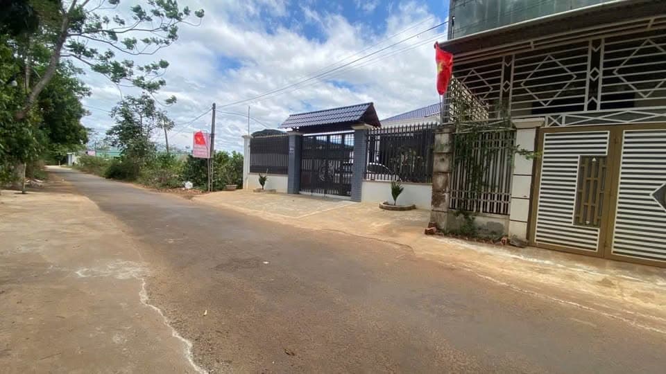 Bán đất Đ. Bùi Dự, Tp. Pleiku, T. Gia Lai - Ảnh 3