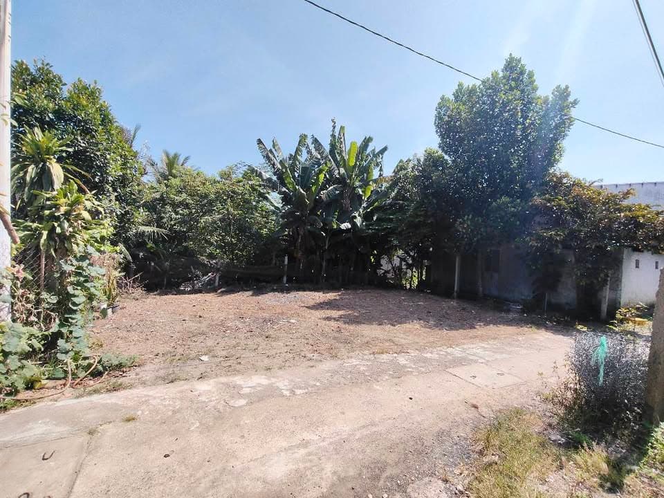 Bán đất P. Hòa Khánh Nam, Q. Liên Chiểu, Tp. Đà Nẵng - Ảnh 2