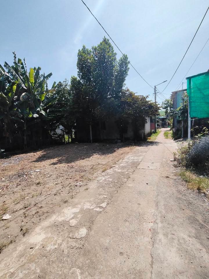 Bán đất P. Hòa Khánh Nam, Q. Liên Chiểu, Tp. Đà Nẵng - Ảnh 3