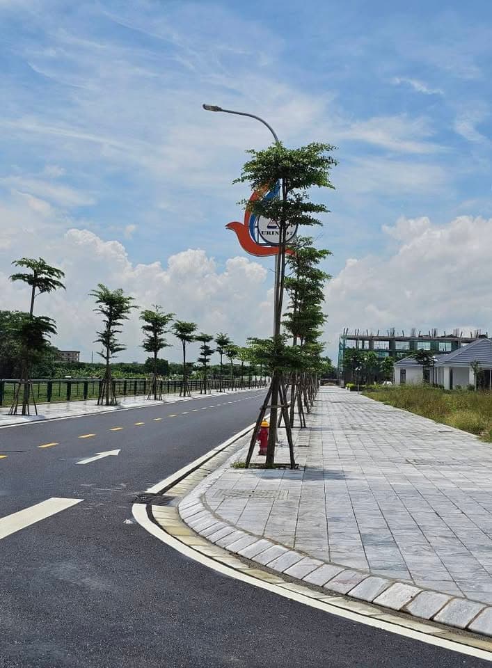 Bán đất H. Kim Bảng, T. Hà Nam - Ảnh 2