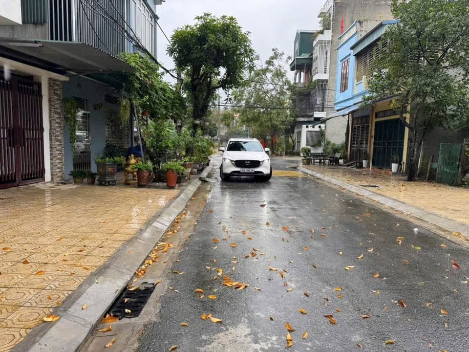 Bán đất H. Bình Lục, T. Hà Nam - Ảnh 2