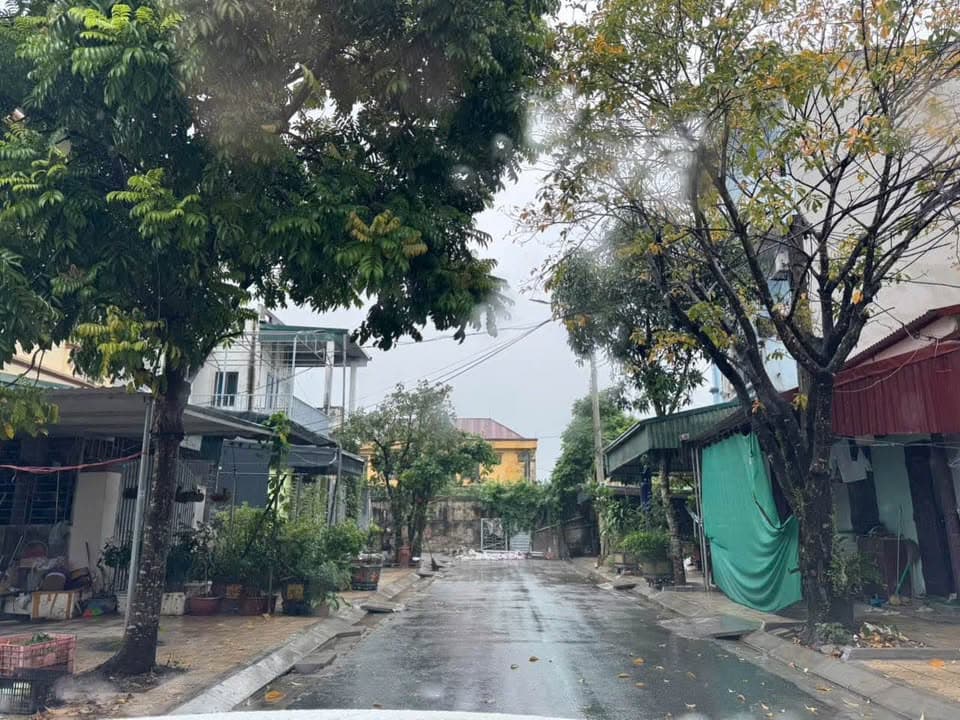 Bán đất H. Bình Lục, T. Hà Nam - Ảnh 3