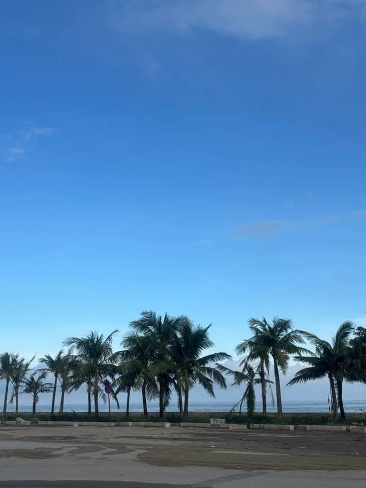 Bán đất P. Quảng Cư, Tp. Sầm Sơn, T. Thanh Hóa - Ảnh 2