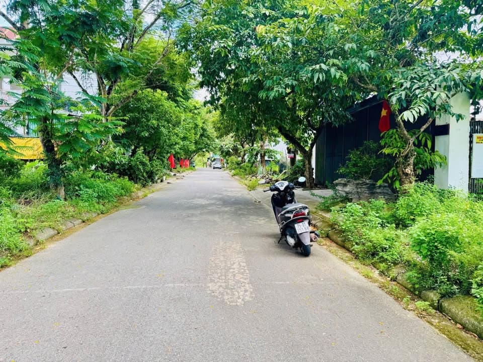 Bán đất Đ. Lương Nhữ Hộc, Tp. Huế, T. Thừa Thiên Huế - Ảnh 3