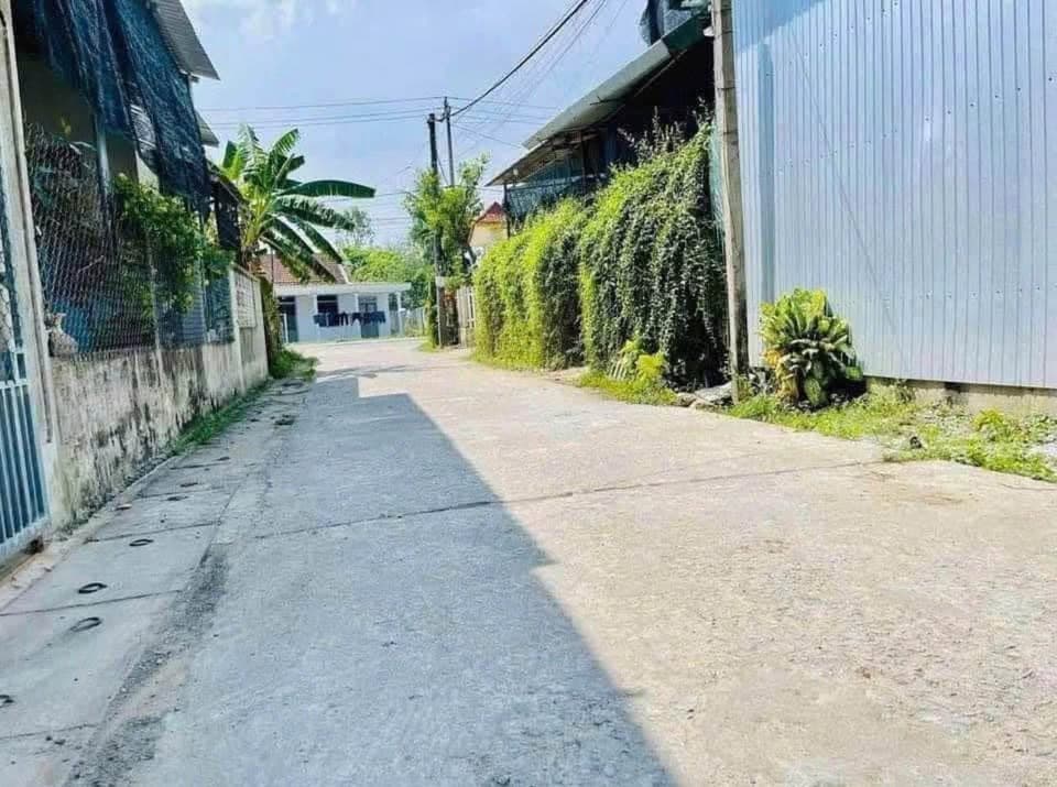 Bán đất Đ. Xuân Thủy, Tp. Huế, T. Thừa Thiên Huế - Ảnh 3