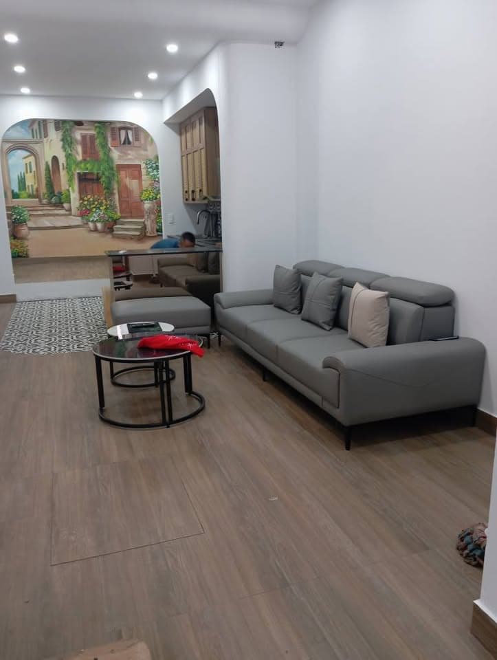 Bán nhà riêng Tt. Quang Minh, H. Mê Linh, Tp. Hà Nội - Ảnh 2