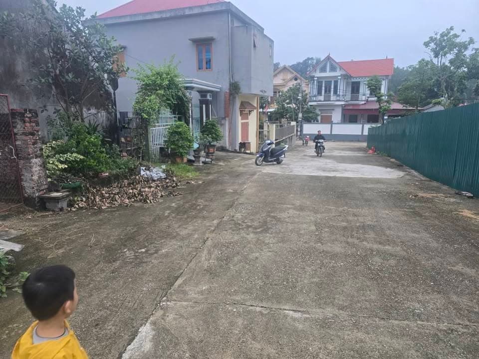 Bán đất H. Gia Bình, T. Bắc Ninh