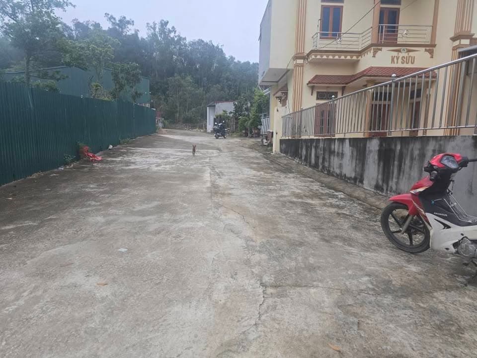 Bán đất H. Gia Bình, T. Bắc Ninh - Ảnh 2