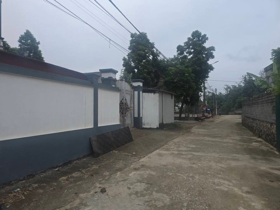 Bán đất H. Gia Bình, T. Bắc Ninh - Ảnh 3