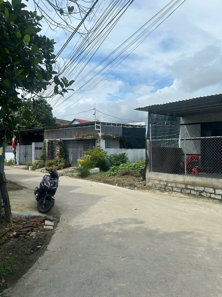 Bán đất Đ. Ngọc Sơn, P. Ngọc Hiệp, Tp. Nha Trang, T. Khánh Hòa - Ảnh 3